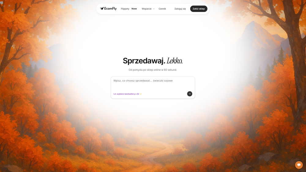 Screenshot of EcomFly