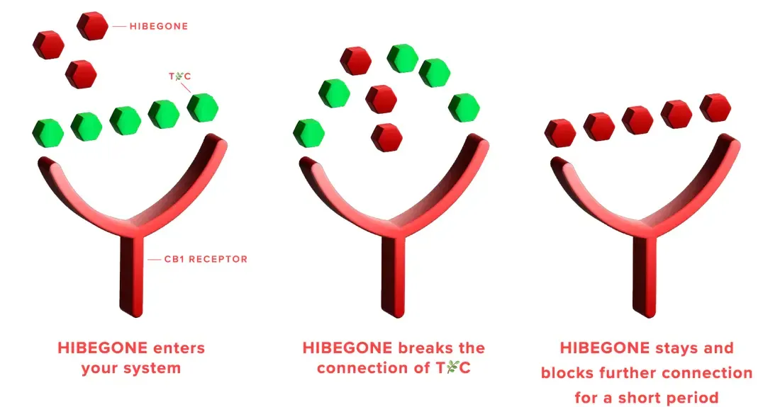 Science Image