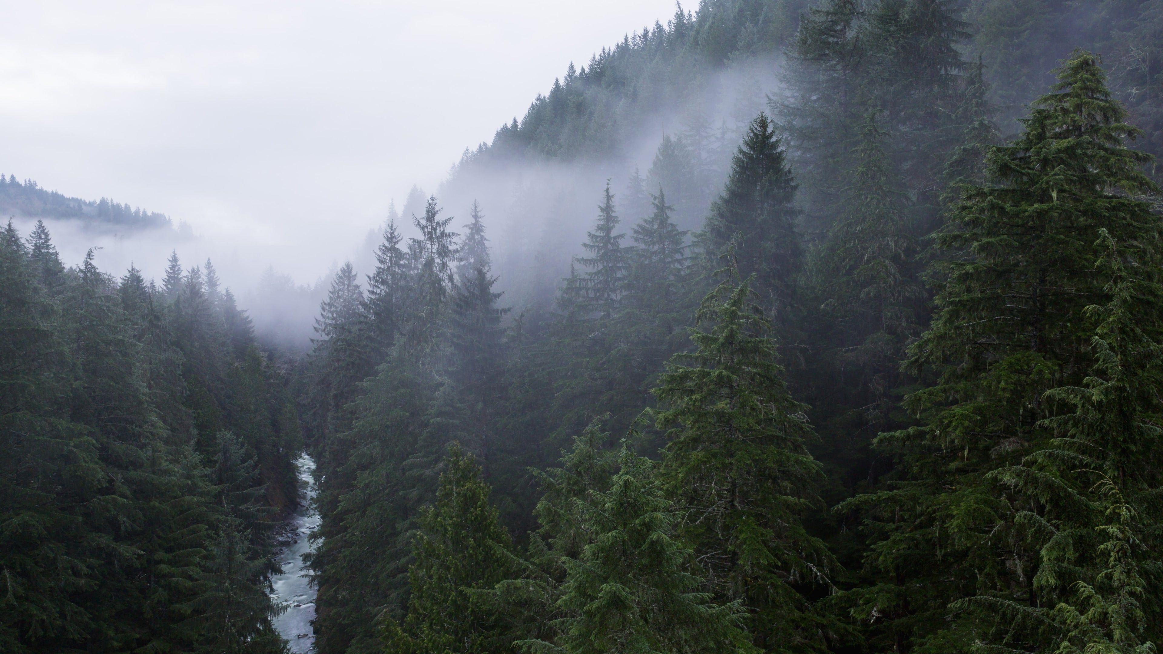 Image showing beautiful quiet place in the mountains perfect for resting