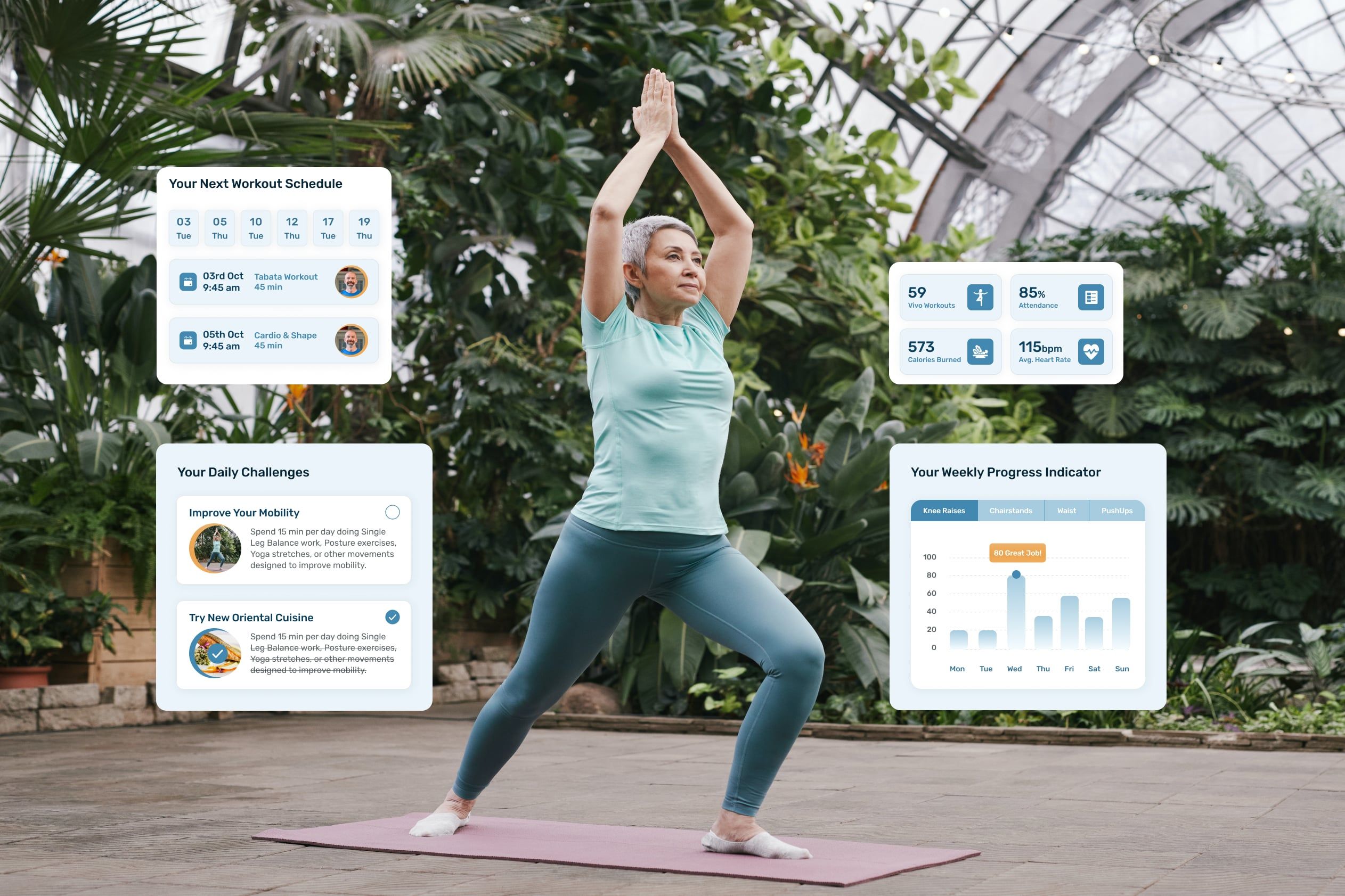 Vivo — the component set behind the fitness dashboard