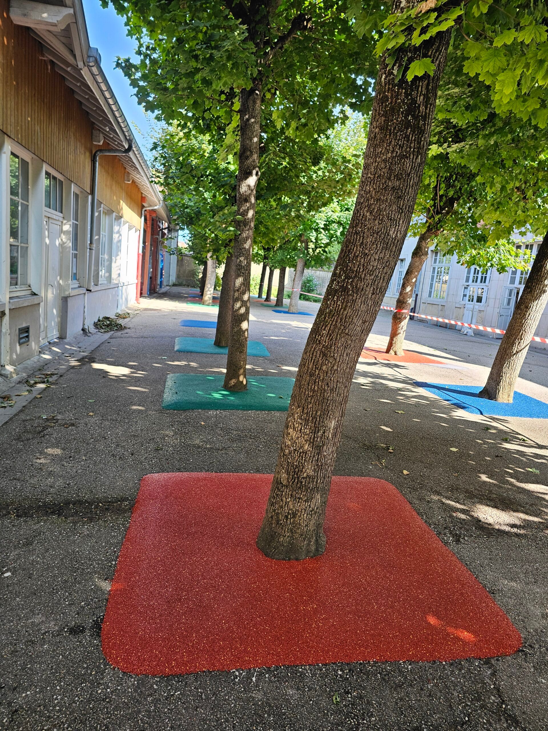 Cour d'école avec sols amortissants colorés autour des arbres