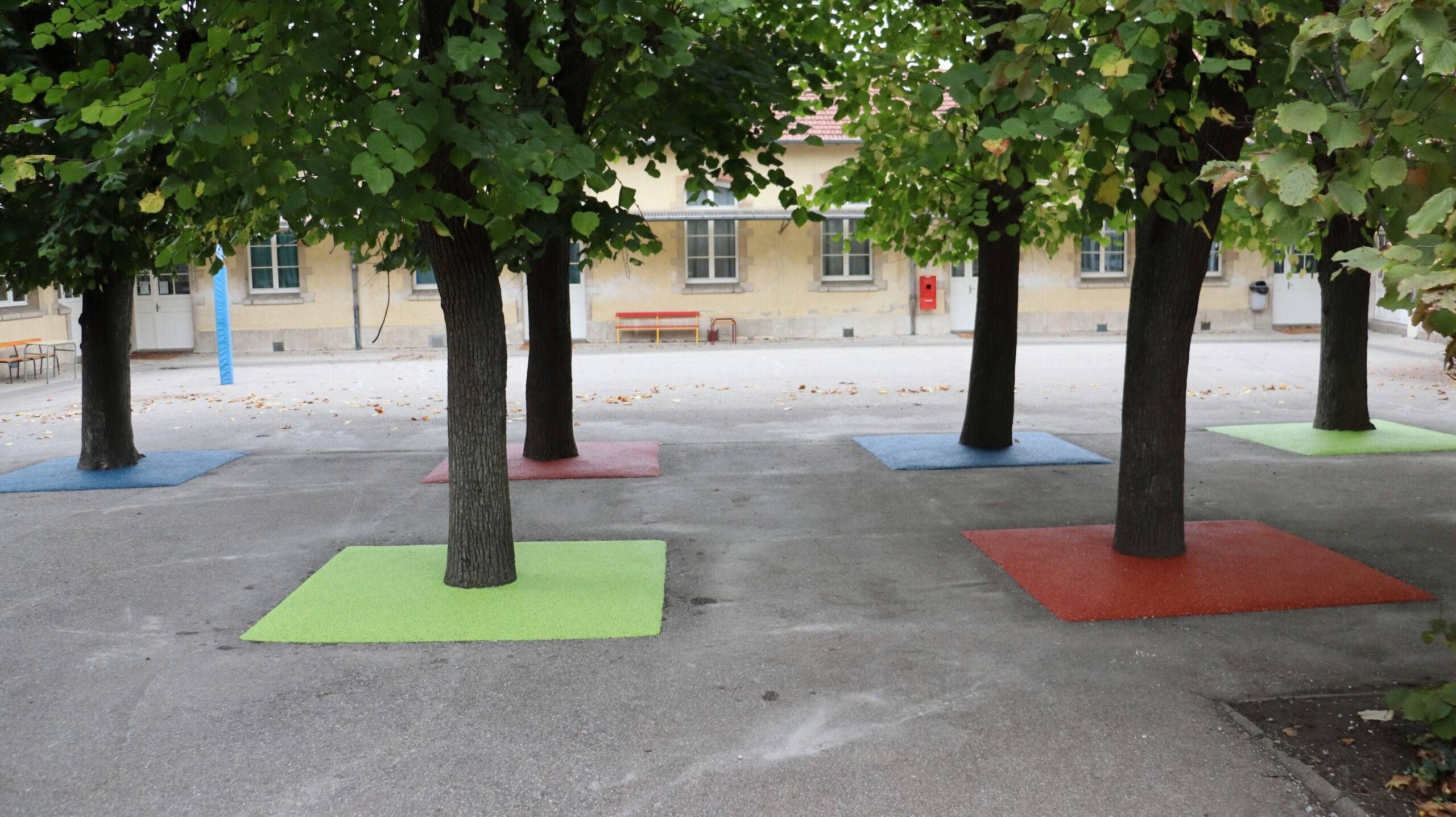 Cour d'école avec pieds d'arbres sécurisés par des carrés de sol amortissant colorés