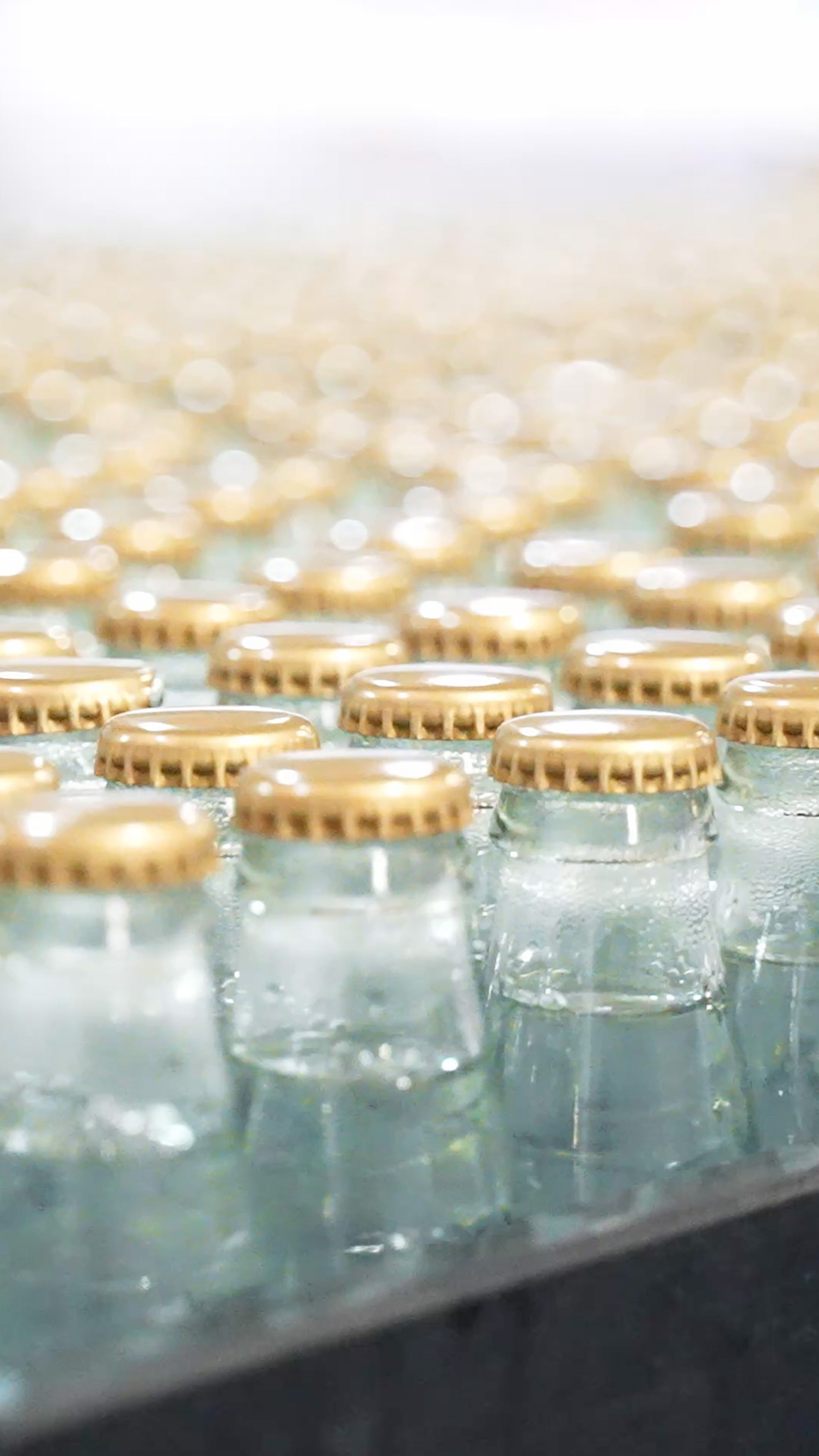 Bottles in factory