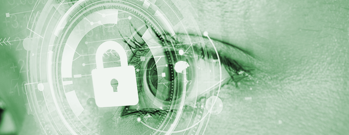Identität und Biometrie
