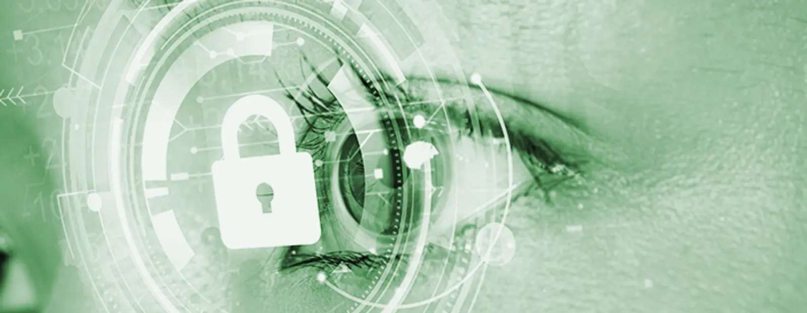 Identitet & Biometrija