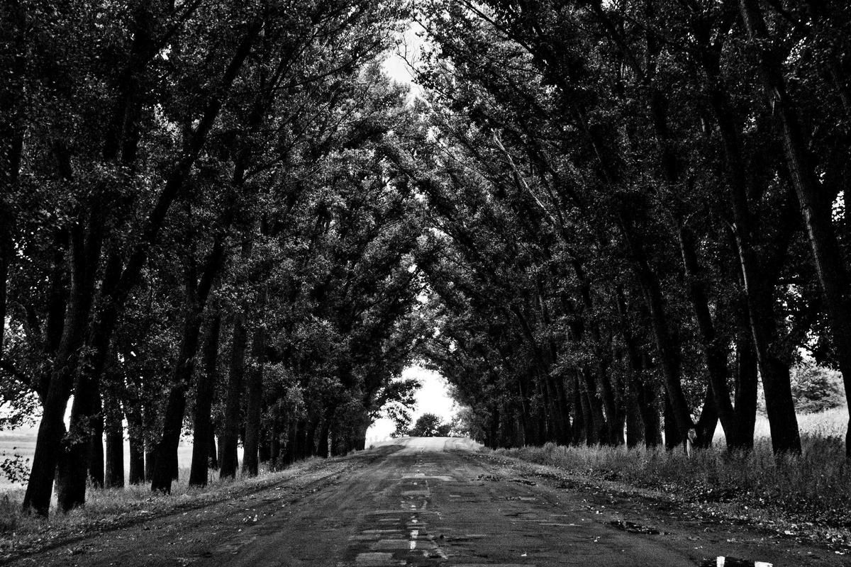 Tell employers: stop wage theft