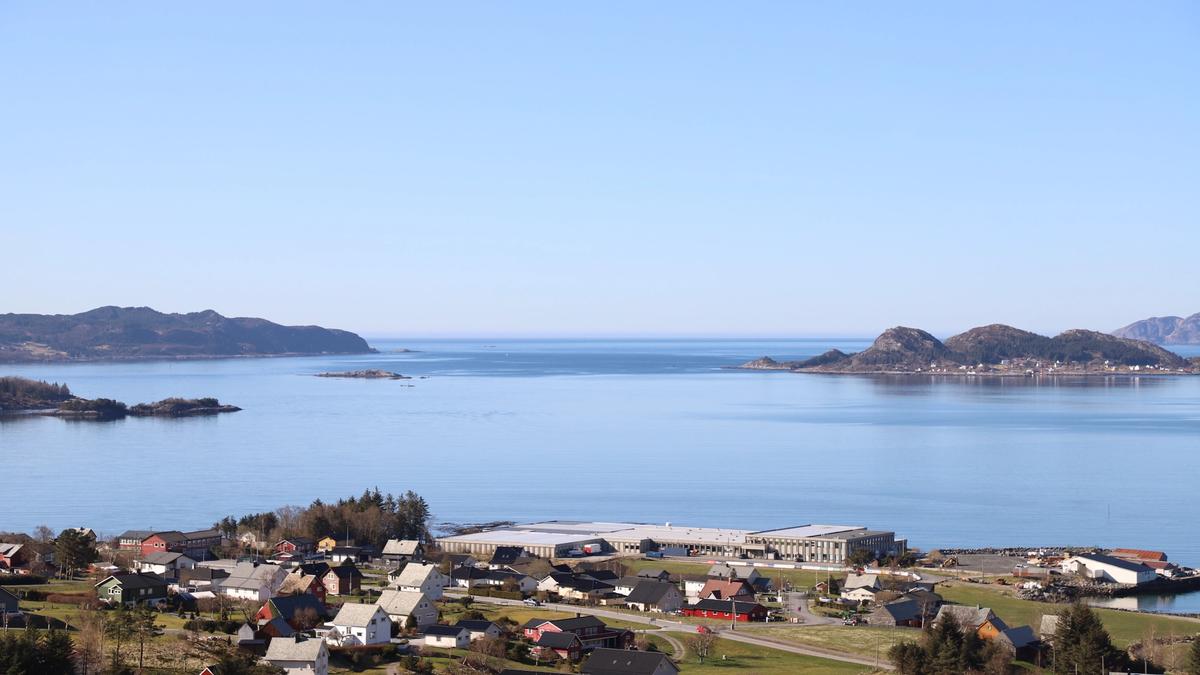 Fiskevegn are hiring