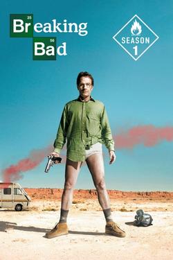 Breaking Bad Season 1 | Rtally