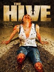 The Hive | Rtally