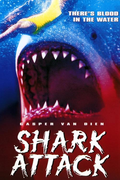 Shark Attack | Rtally