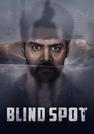 Blind Spot | Rtally