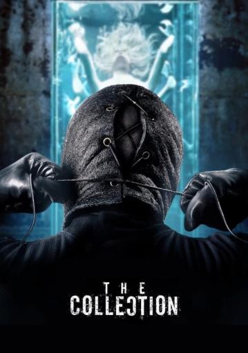 The Collection | Rtally