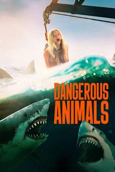 Dangerous Animals | Rtally