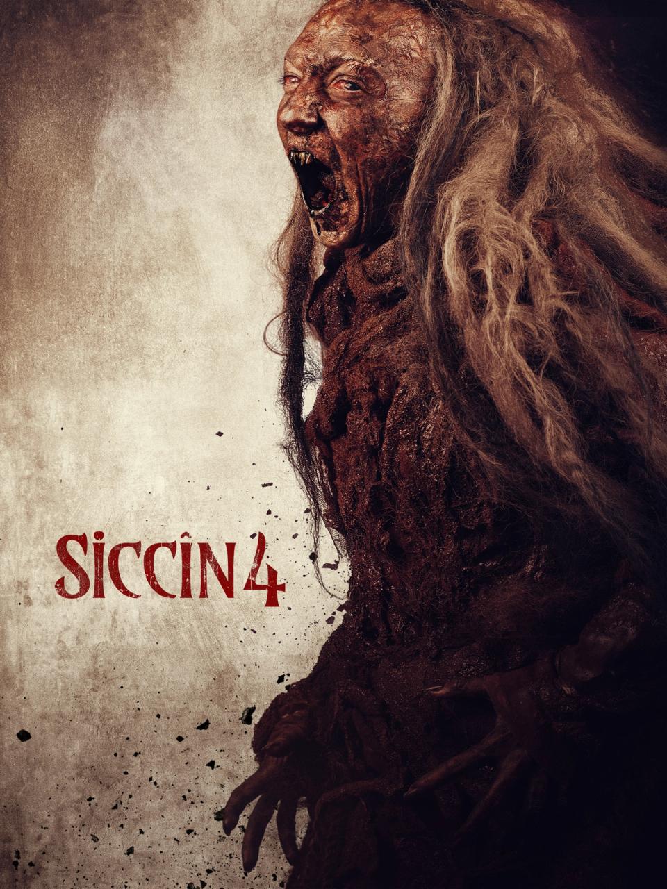  Siccin 4 | Rtally