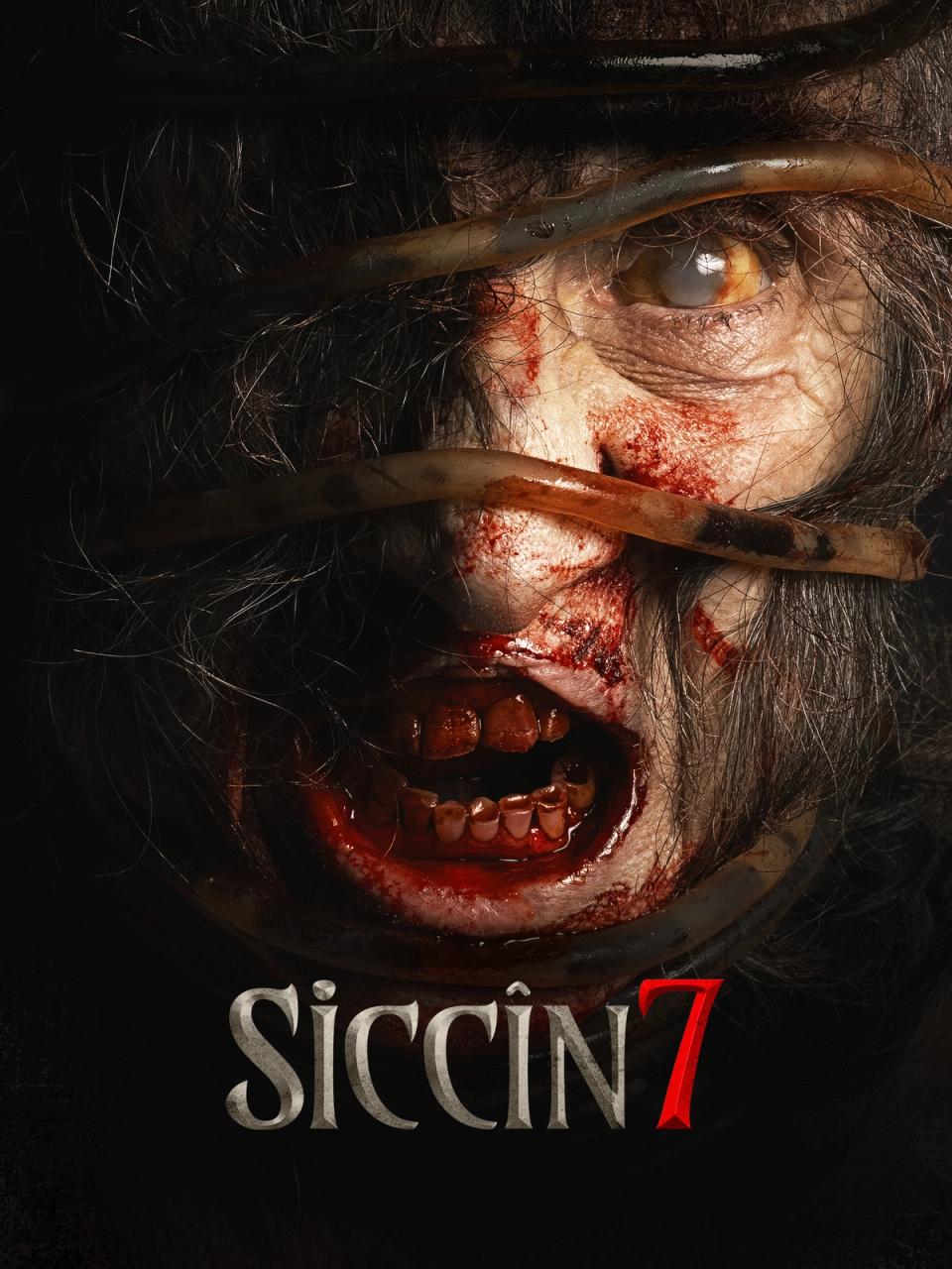 Siccin 7 | Rtally