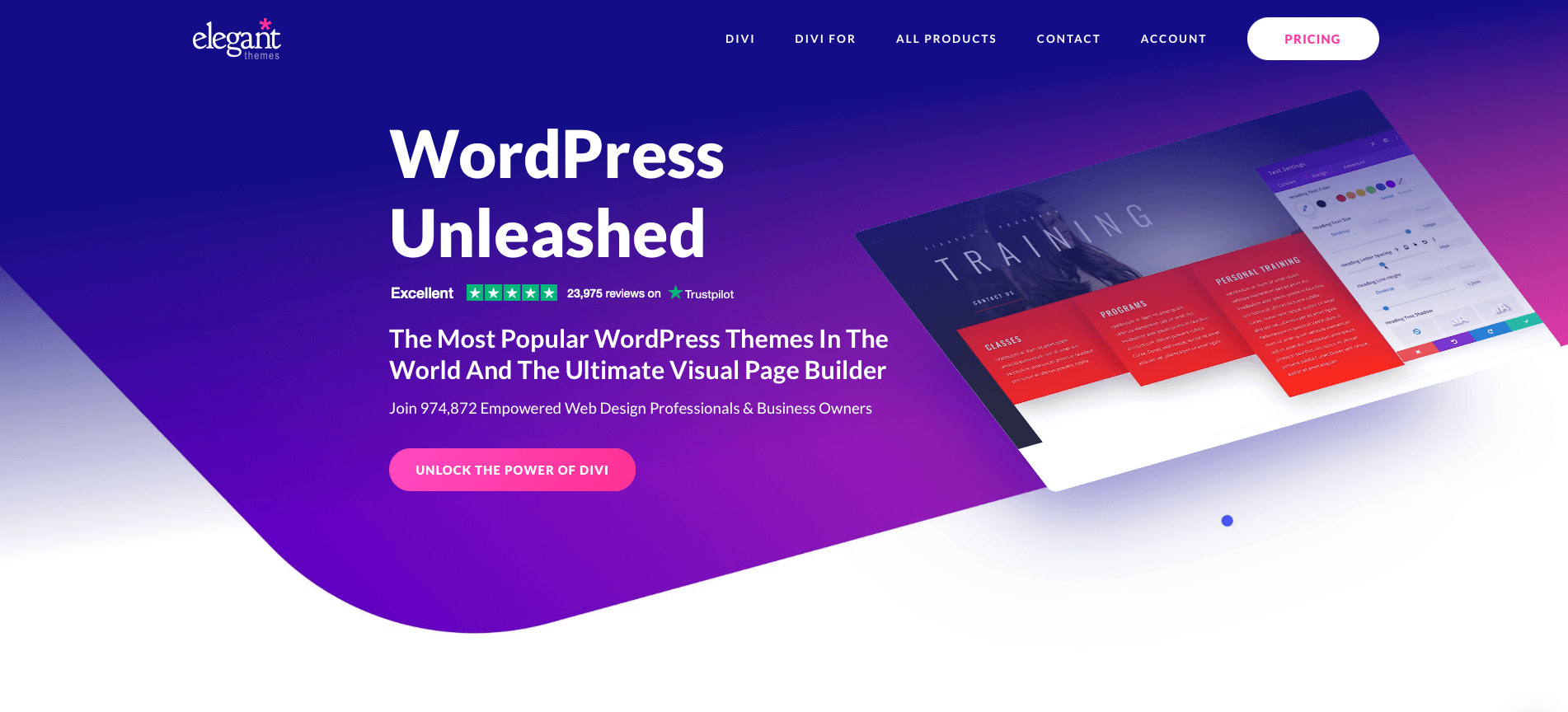 divi wordpress avis