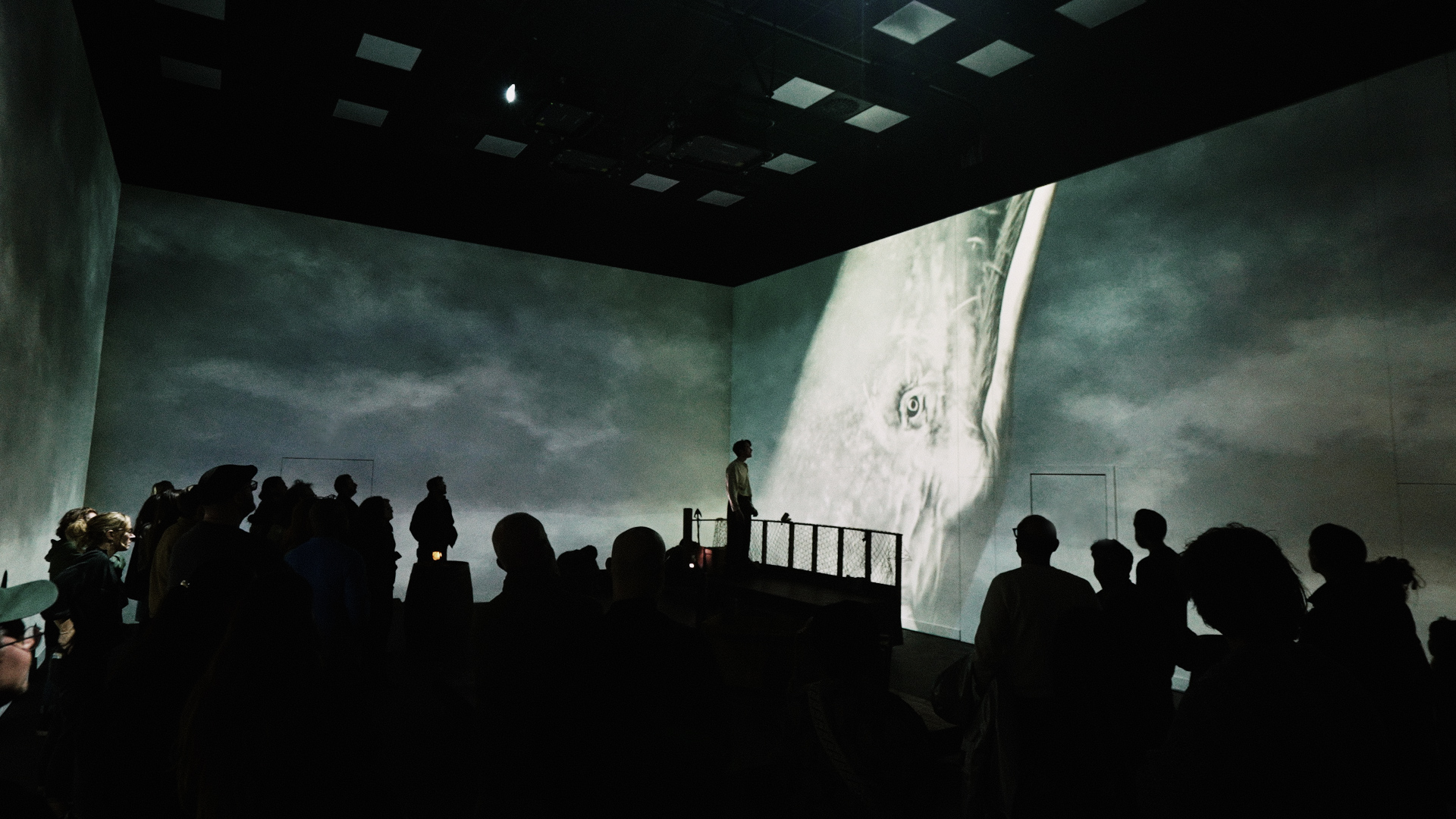 Crowded room with large immersive projected whale - almost like virtual reality VR
