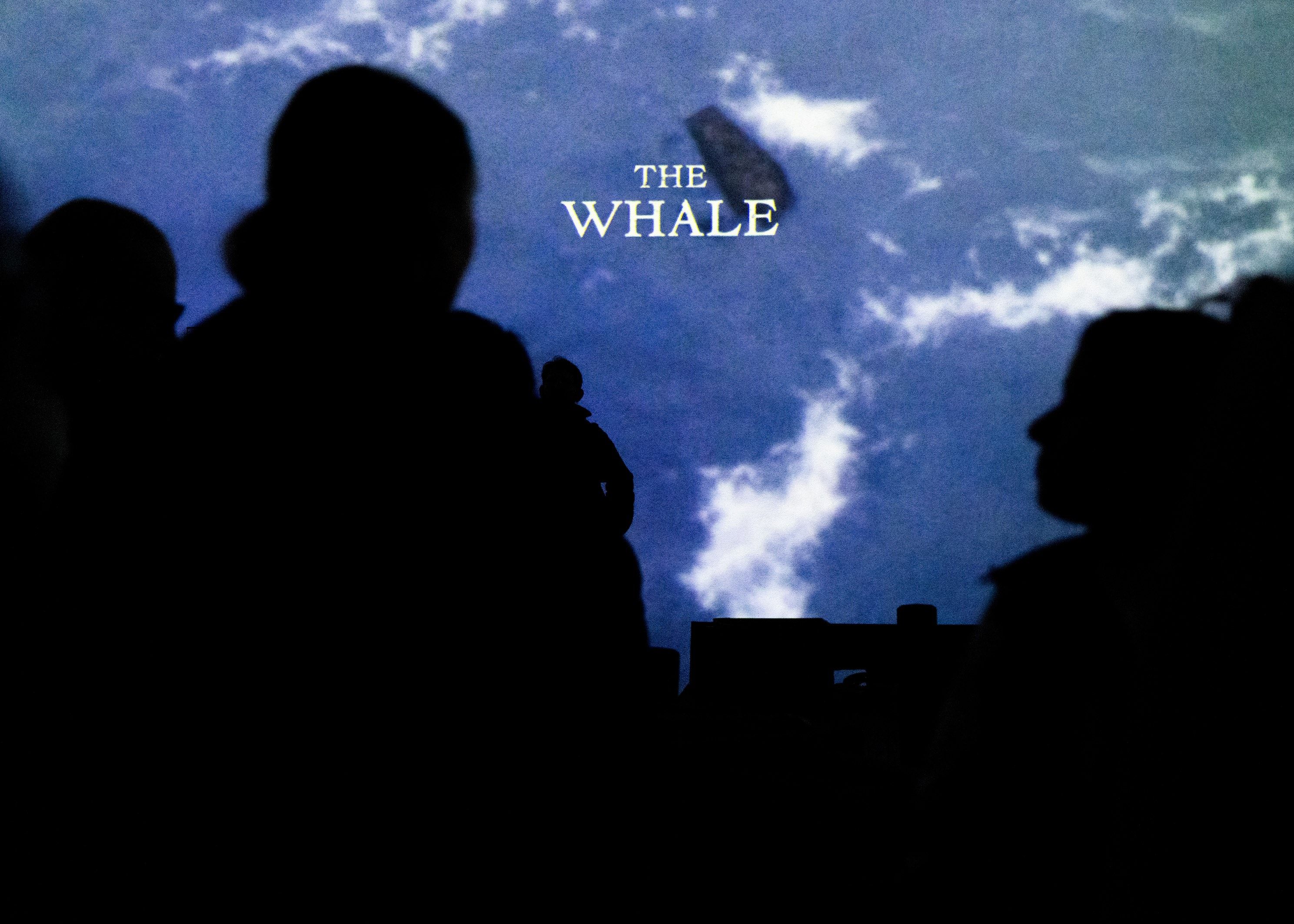 The Whale