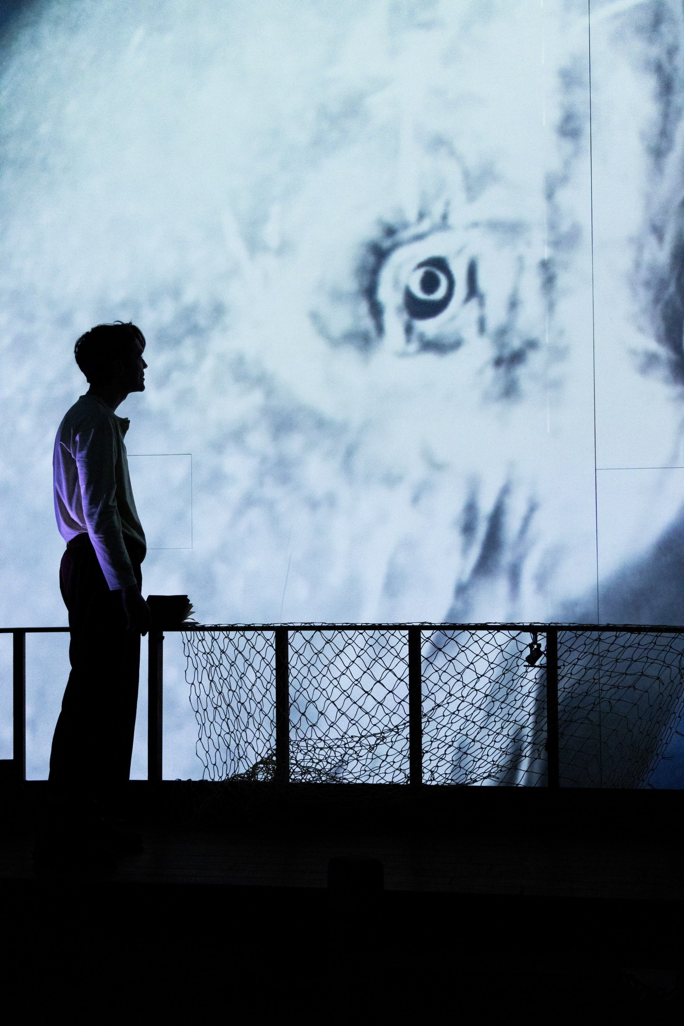 Man stood in front of giant projected whale on immersive 180 degree screen