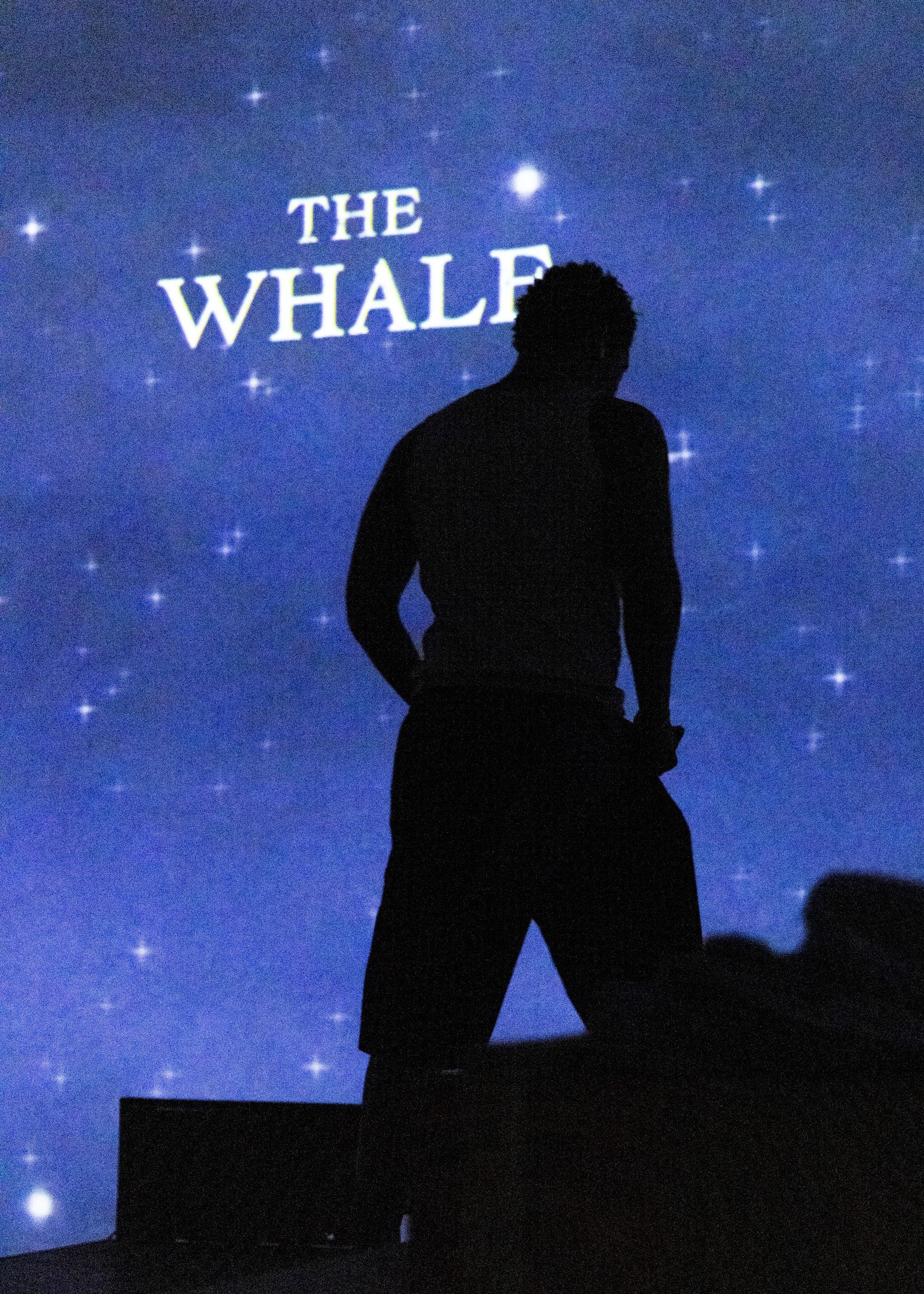 Sillohette of man stood against immersive screen with the whale logo behind him