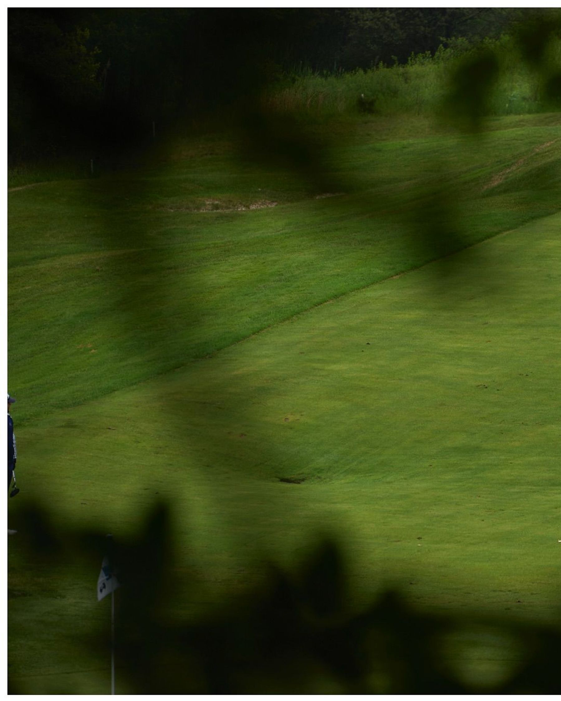 View of a golf green framed by dark foliage.