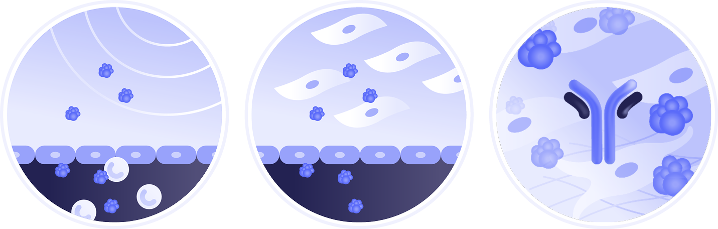 Chemomab animated icons