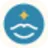 SkyCOTL Tools logo