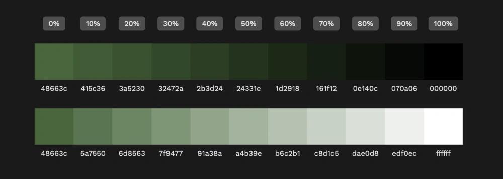 Farbpalette mit Shades