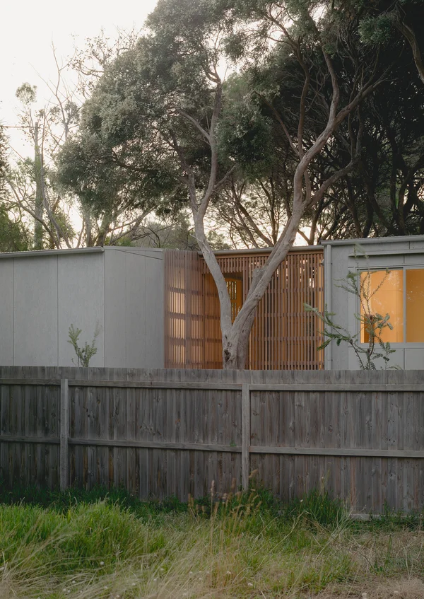 First House Past the Trees