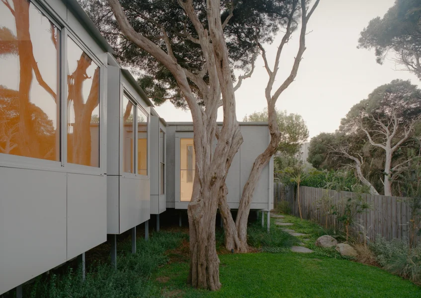 First House Past the Trees