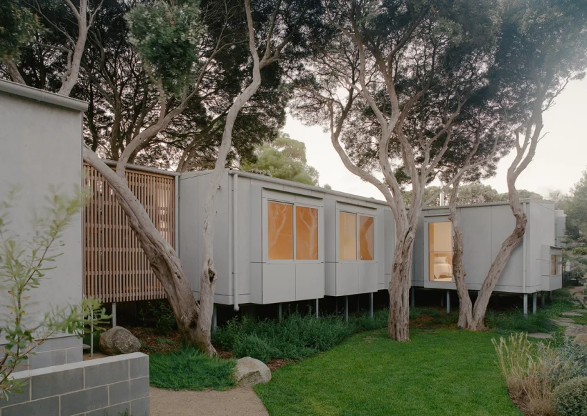 First House Past the Trees