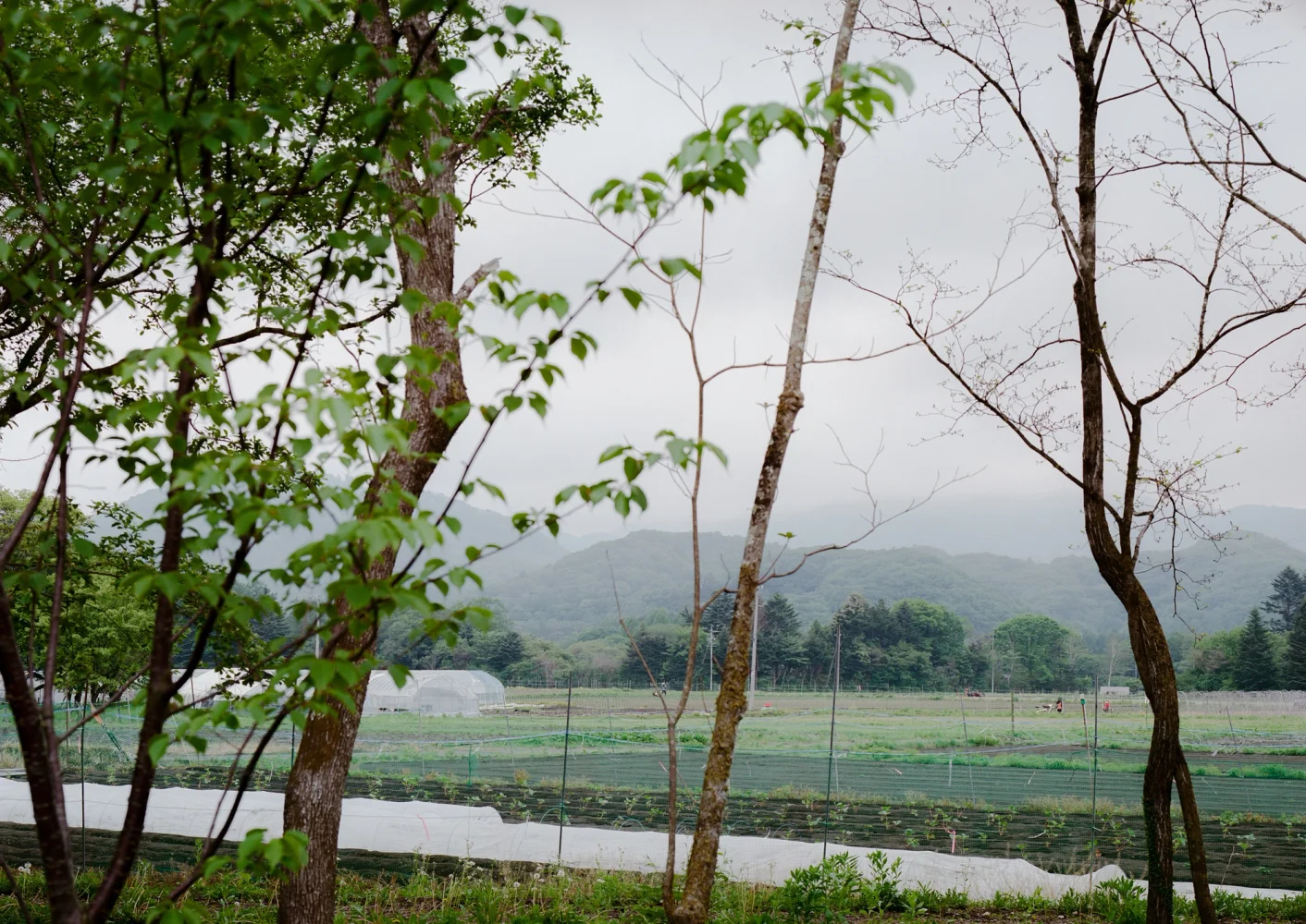 SH2 House 軽井沢