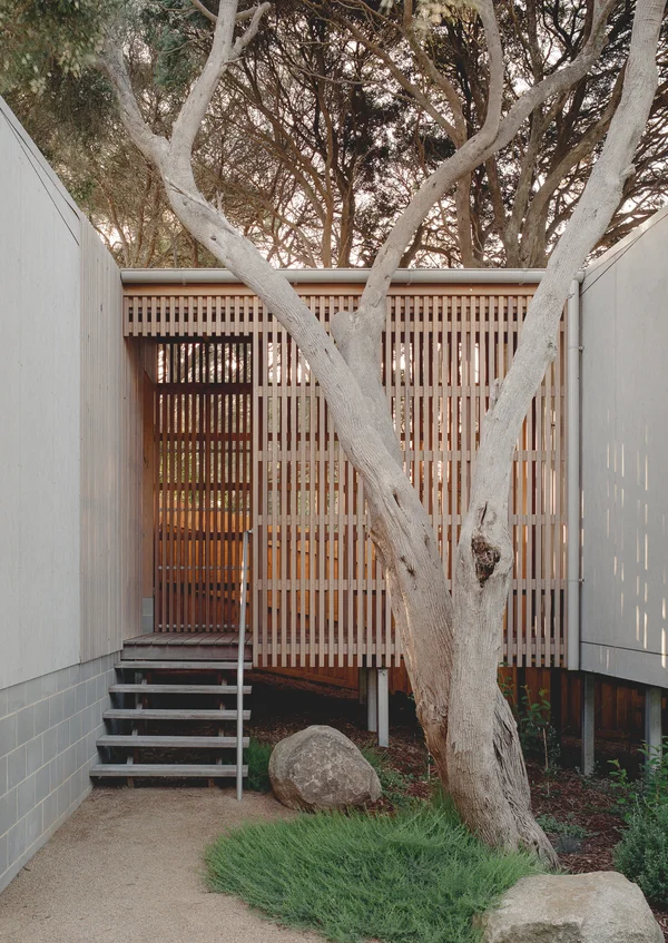 First House Past the Trees