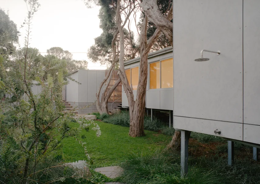 First House Past the Trees