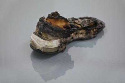 © Diorama Type Partners 2025