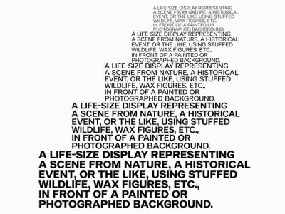 © Diorama Type Partners 2026