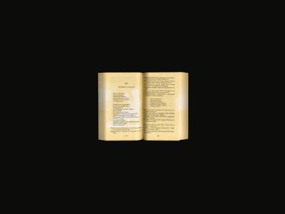 © Diorama Type Partners 2025