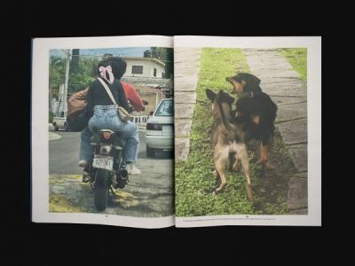 © Diorama Type Partners 2025