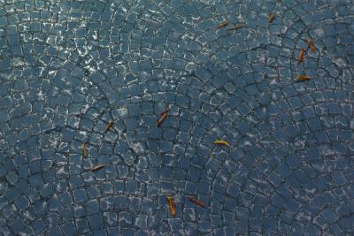 © Diorama Type Partners 2025