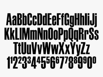 © Diorama Type Partners 2025