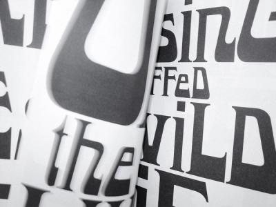 © Diorama Type Partners 2025