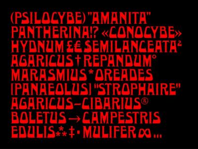 © Diorama Type Partners 2025