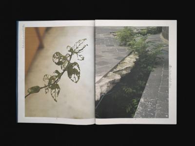 © Diorama Type Partners 2025