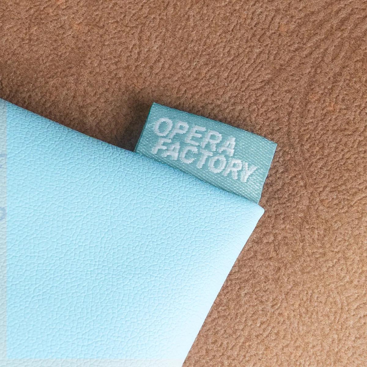Earphone Storage Pouch