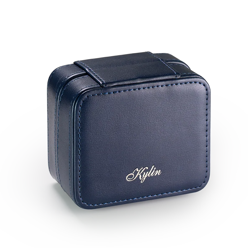 IEM Storage Case