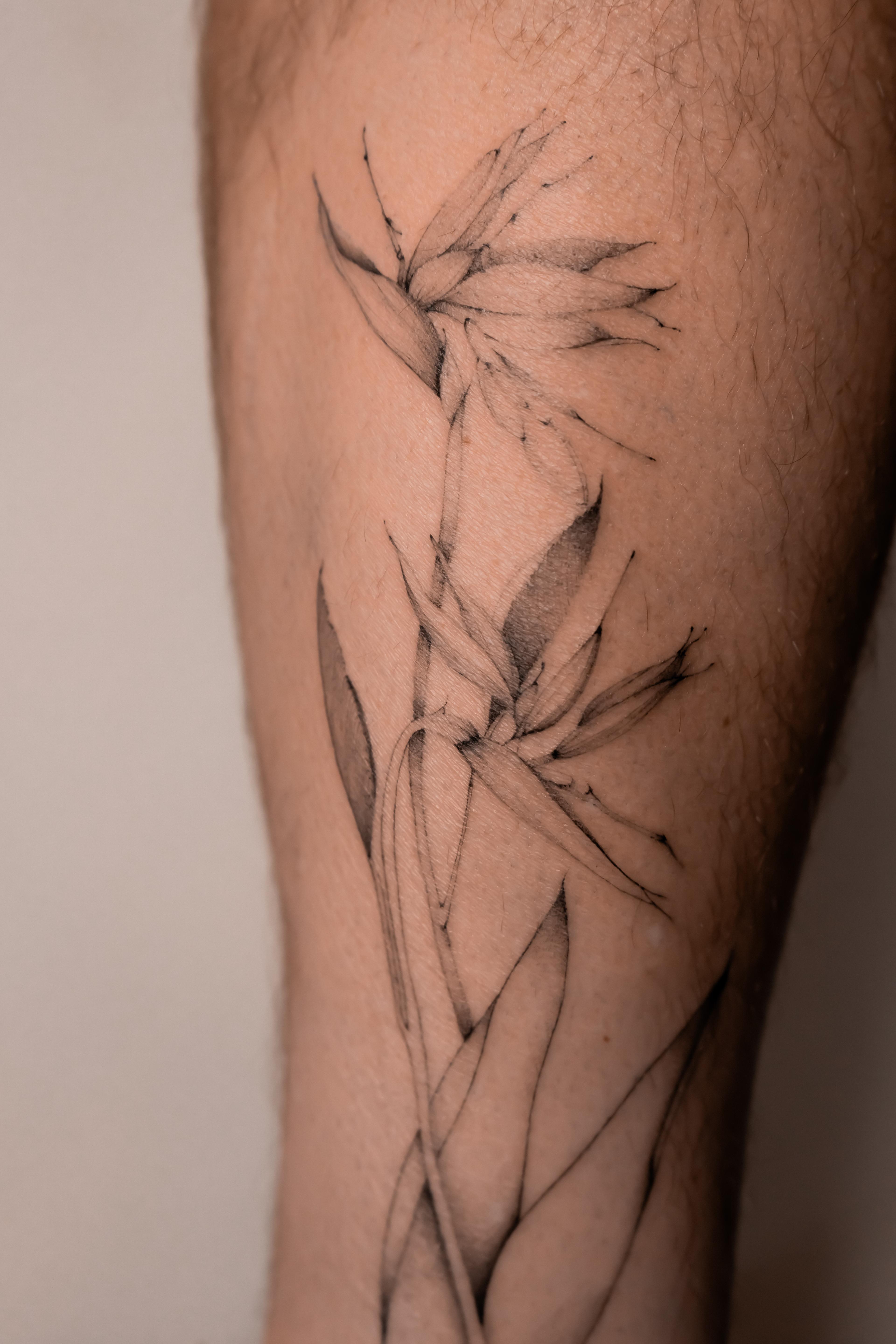 Delicate bird of paradise flower with soft shading on the calf