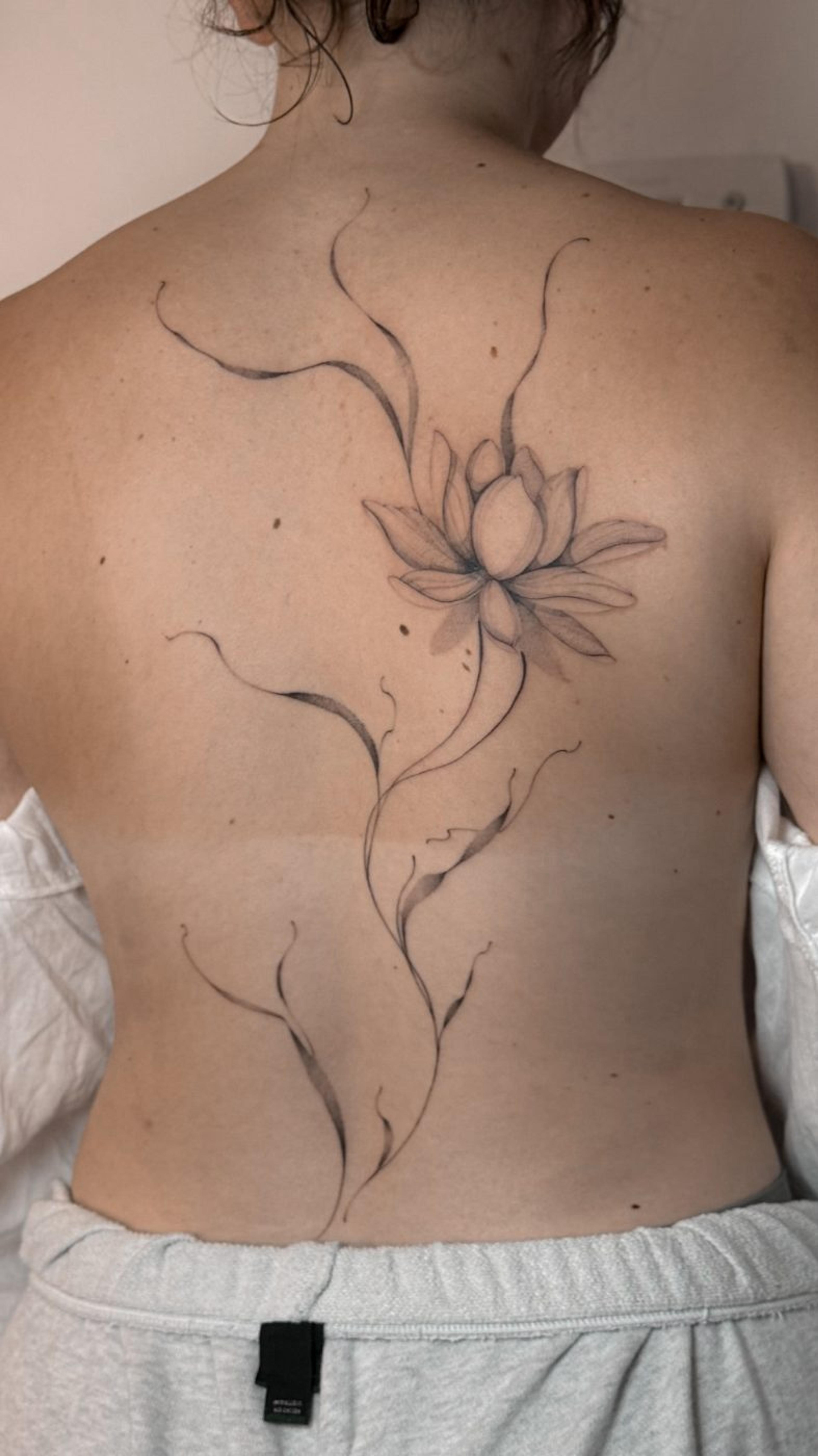 Single lotus with soft ribbons running down the spine