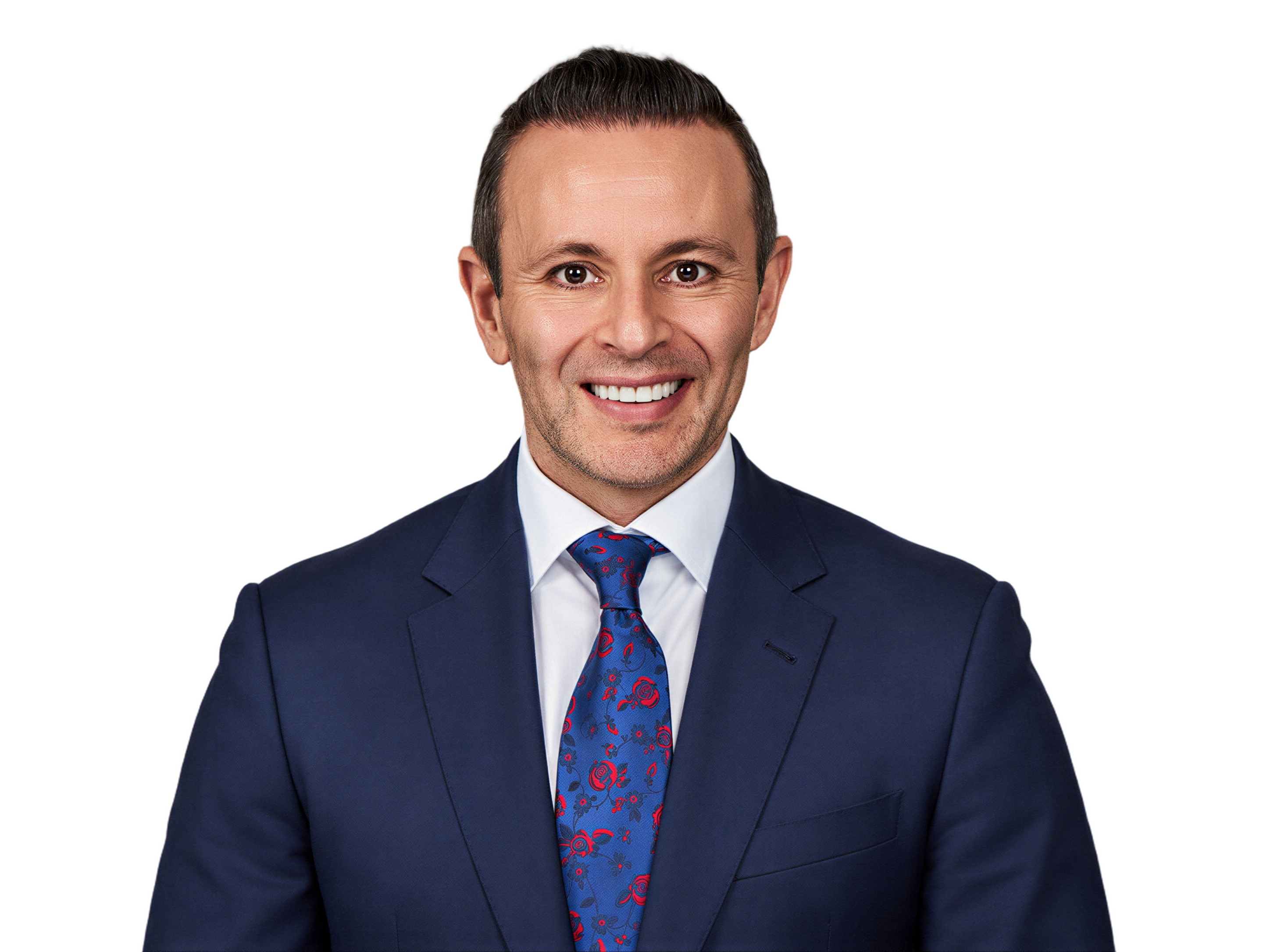 Andrew Levine 的肖像