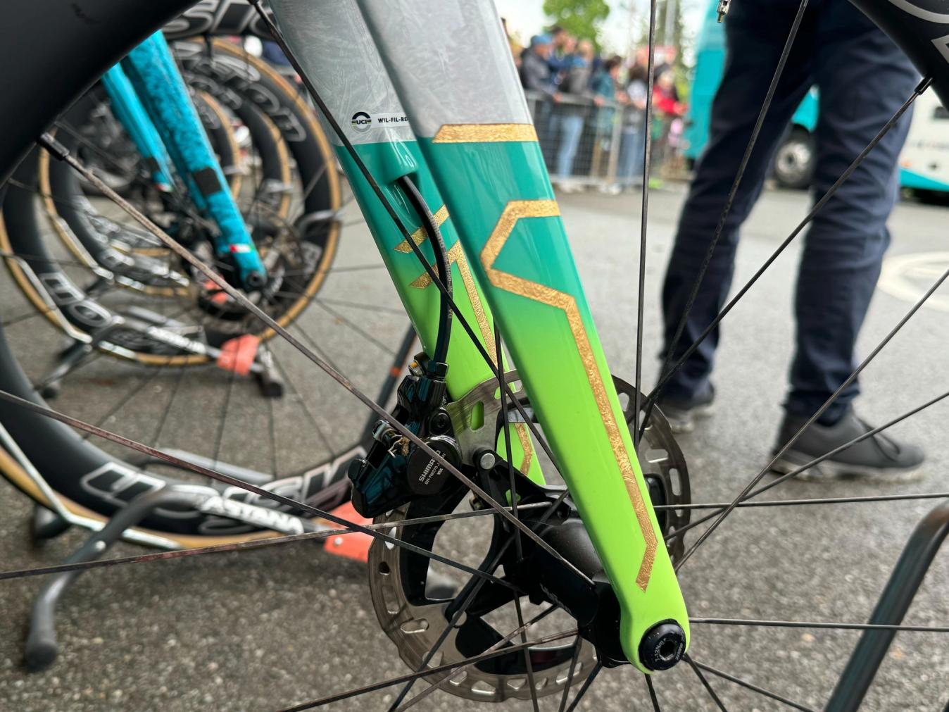 The fork and rear triangle of the bike features a blue to green fade interwoven with a gold geometric pattern