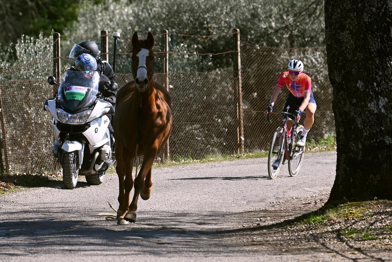 Ok, it's not quite a squirrel, but a horse ran out in front of Demi Vollering at the 2023 Strade Bianche
